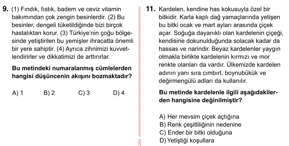 7. Sınıf Türkçe 2023 İOKBS Bursluluk Sınavı 11. Soru görseli