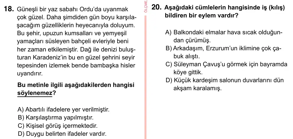 7. Sınıf Türkçe 2023 İOKBS Bursluluk Sınavı 18. Soru görseli