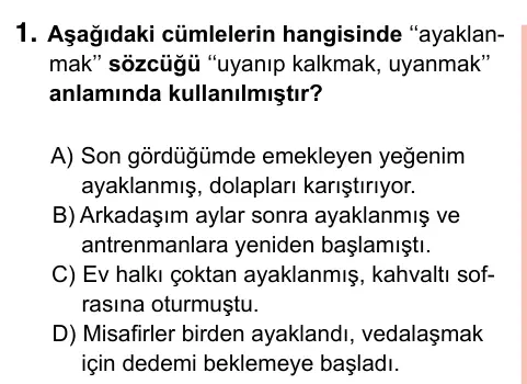 7. Sınıf Türkçe 2023 İOKBS Bursluluk Sınavı 1. Soru görseli