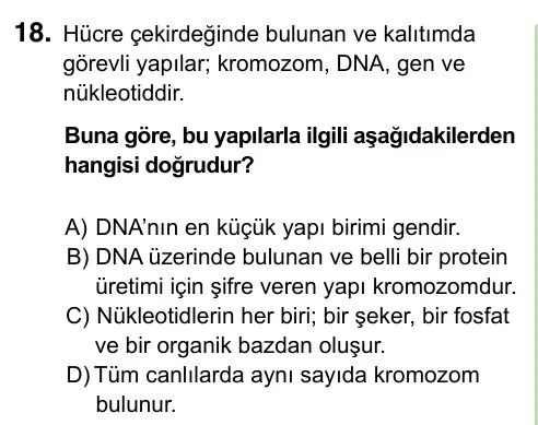 8. Sınıf ve Hazırlık Fen Bilimleri 2023 İOKBS Bursluluk Sınavı 18. Soru görseli