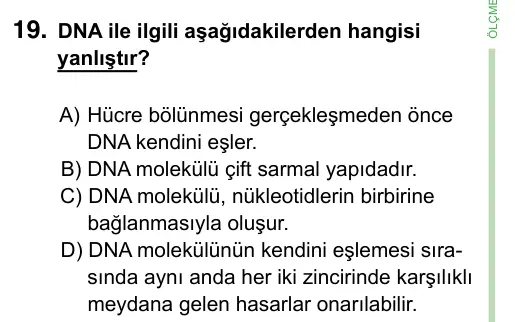 8. Sınıf ve Hazırlık Fen Bilimleri 2023 İOKBS Bursluluk Sınavı 19. Soru görseli