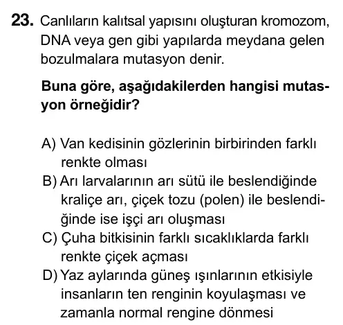 8. Sınıf ve Hazırlık Fen Bilimleri 2023 İOKBS Bursluluk Sınavı 23. Soru görseli