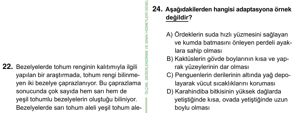 8. Sınıf ve Hazırlık Fen Bilimleri 2023 İOKBS Bursluluk Sınavı 24. Soru görseli