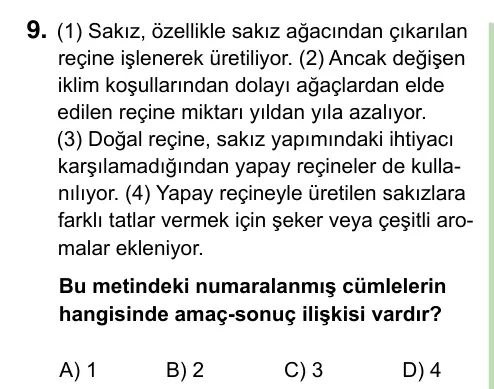 8. Sınıf ve Hazırlık Türkçe 2023 İOKBS Bursluluk Sınavı 9. Soru görseli