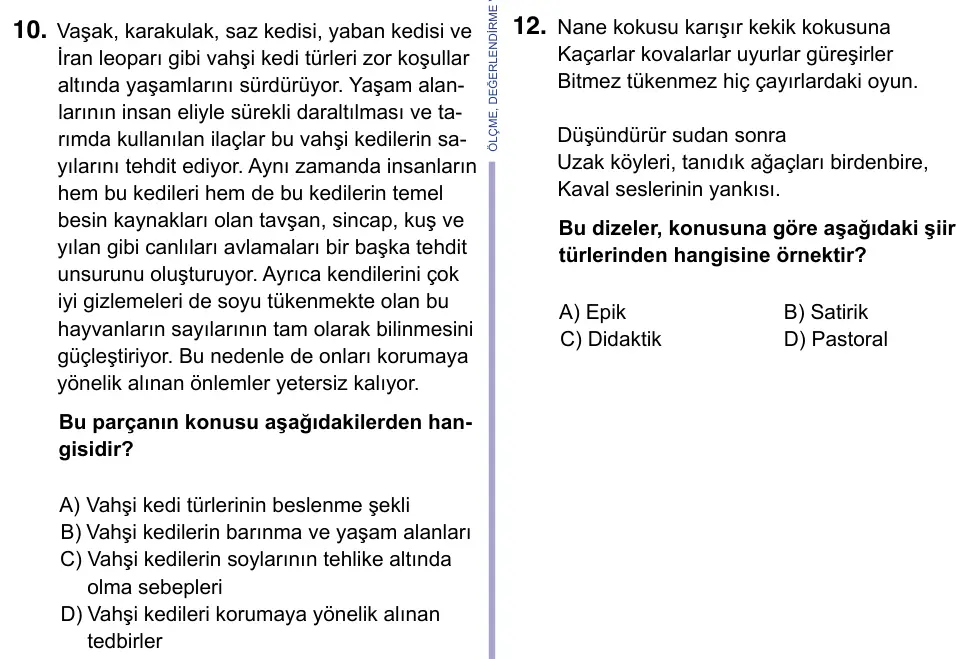 9, 10, 11. Sınıf Türk Dili ve Edebiyatı 2023 İOKBS Bursluluk Sınavı 10. Soru görseli