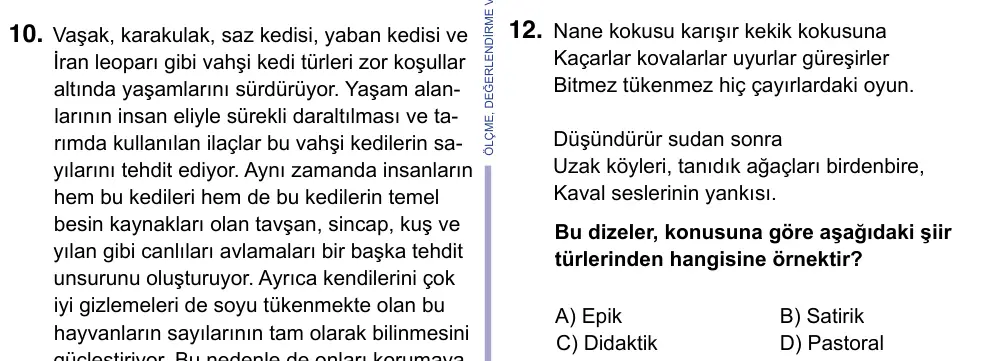 9, 10, 11. Sınıf Türk Dili ve Edebiyatı 2023 İOKBS Bursluluk Sınavı 12. Soru görseli