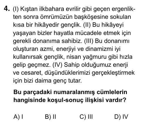 9, 10, 11. Sınıf Türk Dili ve Edebiyatı 2023 İOKBS Bursluluk Sınavı 4. Soru görseli