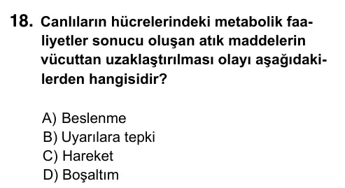 9, 10, 11. Sınıf Fen Bilimleri 2023 İOKBS Bursluluk Sınavı 18. Soru görseli