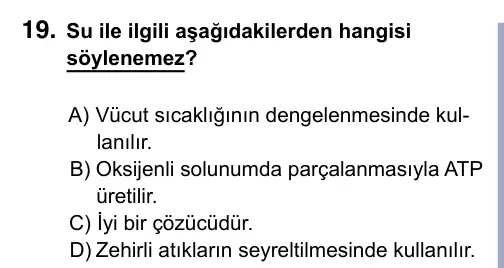 9, 10, 11. Sınıf Fen Bilimleri 2023 İOKBS Bursluluk Sınavı 19. Soru görseli