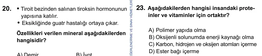9, 10, 11. Sınıf Fen Bilimleri 2023 İOKBS Bursluluk Sınavı 23. Soru görseli