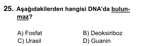 9, 10, 11. Sınıf Fen Bilimleri 2023 İOKBS Bursluluk Sınavı 25. Soru görseli
