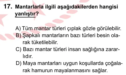 5. Sınıf Fen Bilimleri 2024 İOKBS Bursluluk Sınavı 17. Soru görseli