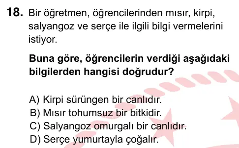 5. Sınıf Fen Bilimleri 2024 İOKBS Bursluluk Sınavı 18. Soru görseli