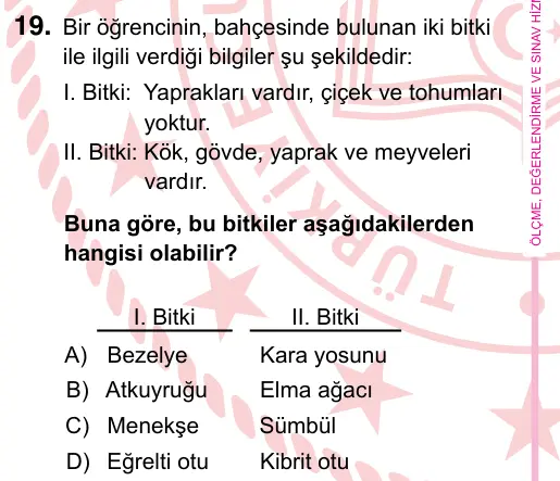 5. Sınıf Fen Bilimleri 2024 İOKBS Bursluluk Sınavı 19. Soru görseli