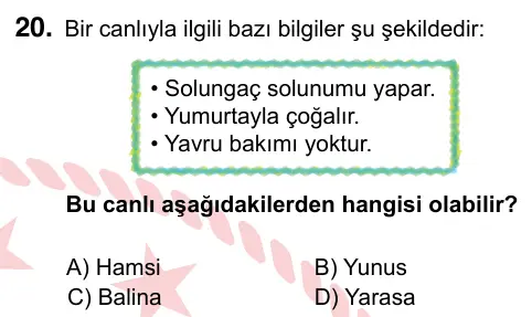 5. Sınıf Fen Bilimleri 2024 İOKBS Bursluluk Sınavı 20. Soru görseli
