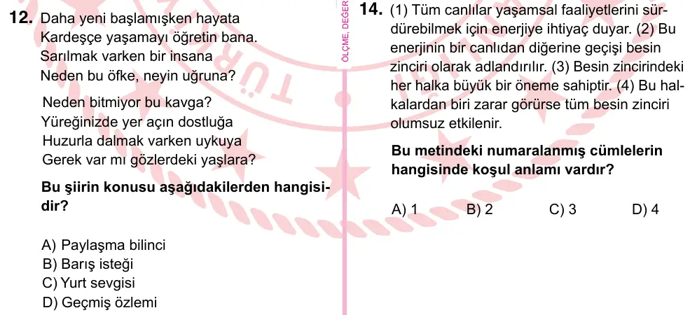 5. Sınıf Türkçe 2024 İOKBS Bursluluk Sınavı 12. Soru görseli
