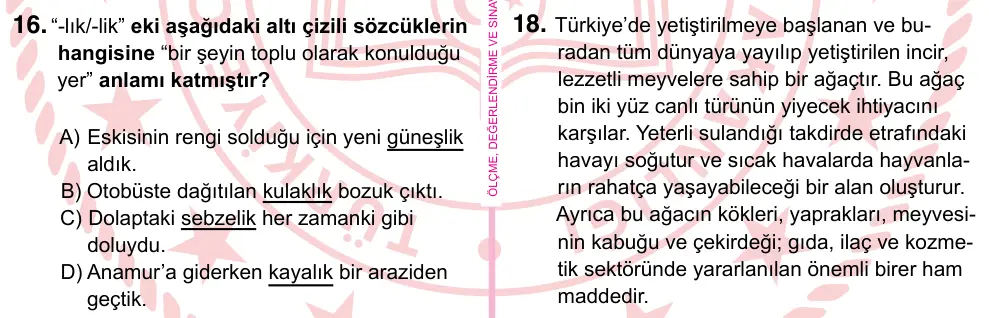 5. Sınıf Türkçe 2024 İOKBS Bursluluk Sınavı 16. Soru görseli