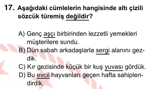 5. Sınıf Türkçe 2024 İOKBS Bursluluk Sınavı 17. Soru görseli