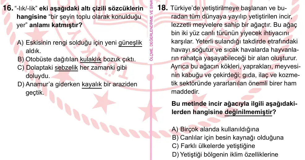 5. Sınıf Türkçe 2024 İOKBS Bursluluk Sınavı 18. Soru görseli