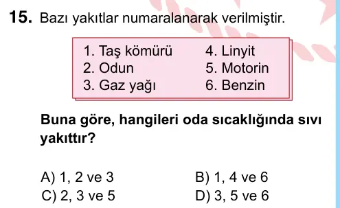 6. Sınıf Fen Bilimleri 2024 İOKBS Bursluluk Sınavı 15. Soru görseli
