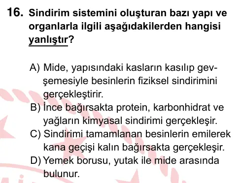 6. Sınıf Fen Bilimleri 2024 İOKBS Bursluluk Sınavı 16. Soru görseli