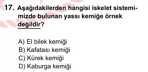 6. Sınıf Fen Bilimleri 2024 İOKBS Bursluluk Sınavı 17. Soru görseli