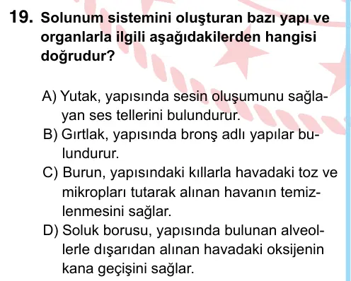 6. Sınıf Fen Bilimleri 2024 İOKBS Bursluluk Sınavı 19. Soru görseli