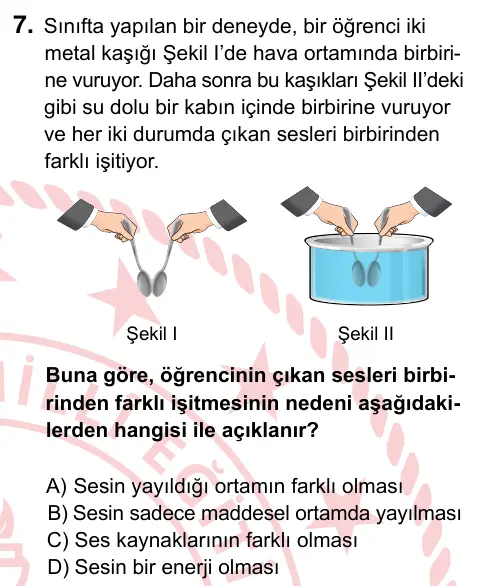 6. Sınıf Fen Bilimleri 2024 İOKBS Bursluluk Sınavı 7. Soru görseli