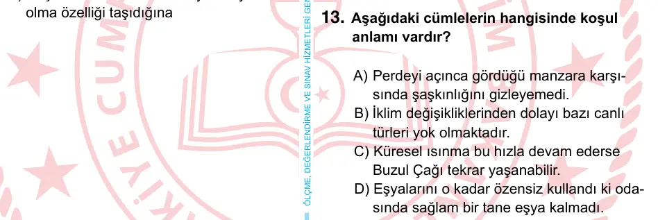 6. Sınıf Türkçe 2024 İOKBS Bursluluk Sınavı 13. Soru görseli