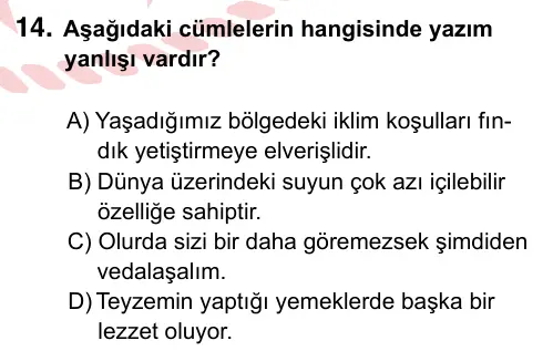 6. Sınıf Türkçe 2024 İOKBS Bursluluk Sınavı 14. Soru görseli