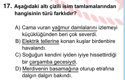 6. Sınıf Türkçe 2024 İOKBS Bursluluk Sınavı 17. Soru görseli