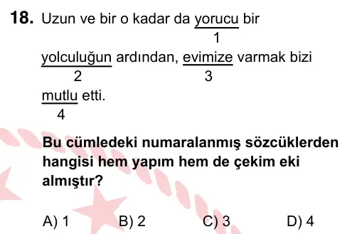 6. Sınıf Türkçe 2024 İOKBS Bursluluk Sınavı 18. Soru görseli