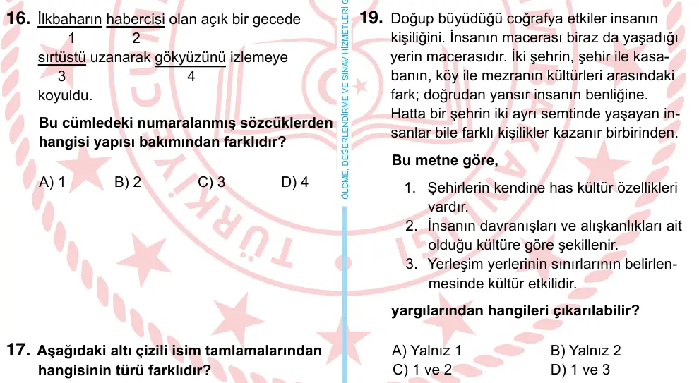 6. Sınıf Türkçe 2024 İOKBS Bursluluk Sınavı 19. Soru görseli