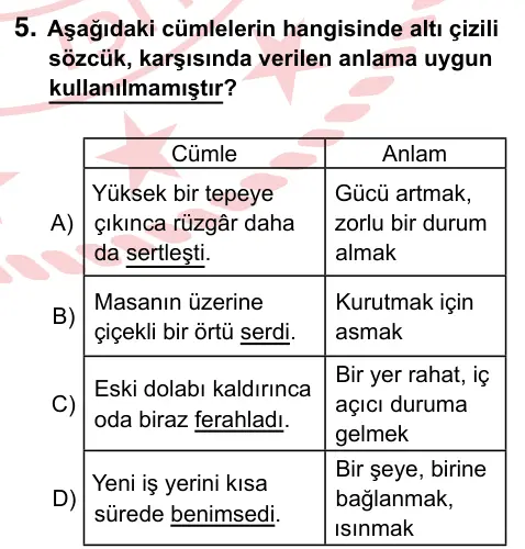 6. Sınıf Türkçe 2024 İOKBS Bursluluk Sınavı 5. Soru görseli