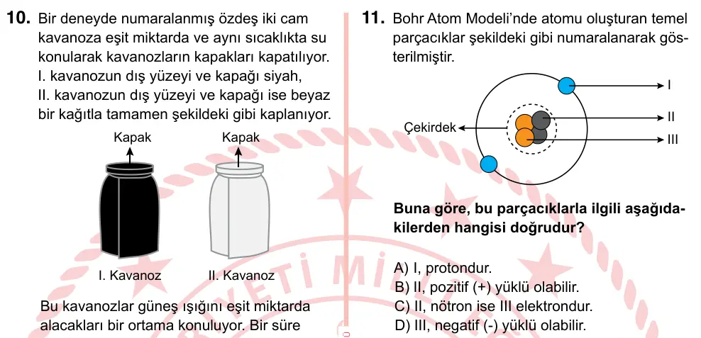 7. Sınıf Fen Bilimleri 2024 İOKBS Bursluluk Sınavı 11. Soru görseli