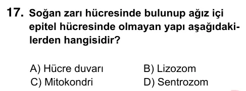 7. Sınıf Fen Bilimleri 2024 İOKBS Bursluluk Sınavı 17. Soru görseli
