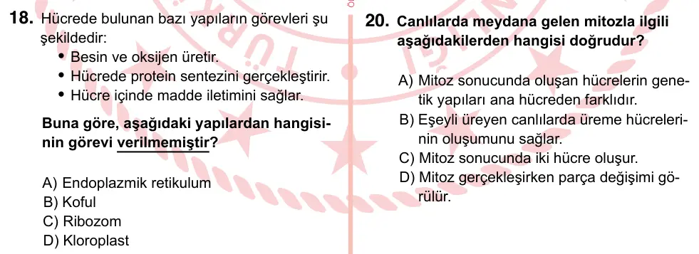 7. Sınıf Fen Bilimleri 2024 İOKBS Bursluluk Sınavı 18. Soru görseli