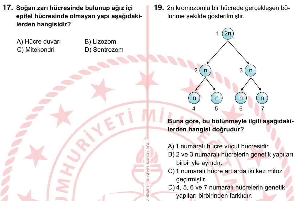 7. Sınıf Fen Bilimleri 2024 İOKBS Bursluluk Sınavı 19. Soru görseli