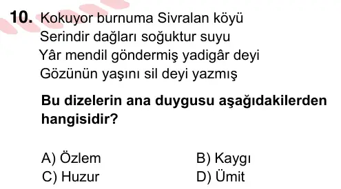 7. Sınıf Türkçe 2024 İOKBS Bursluluk Sınavı 10. Soru görseli