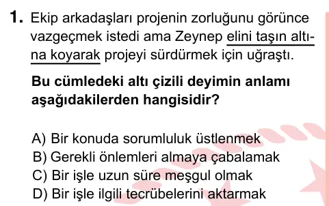7. Sınıf Türkçe 2024 İOKBS Bursluluk Sınavı 1. Soru görseli