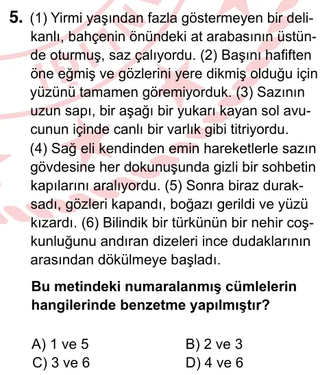 7. Sınıf Türkçe 2024 İOKBS Bursluluk Sınavı 5. Soru görseli