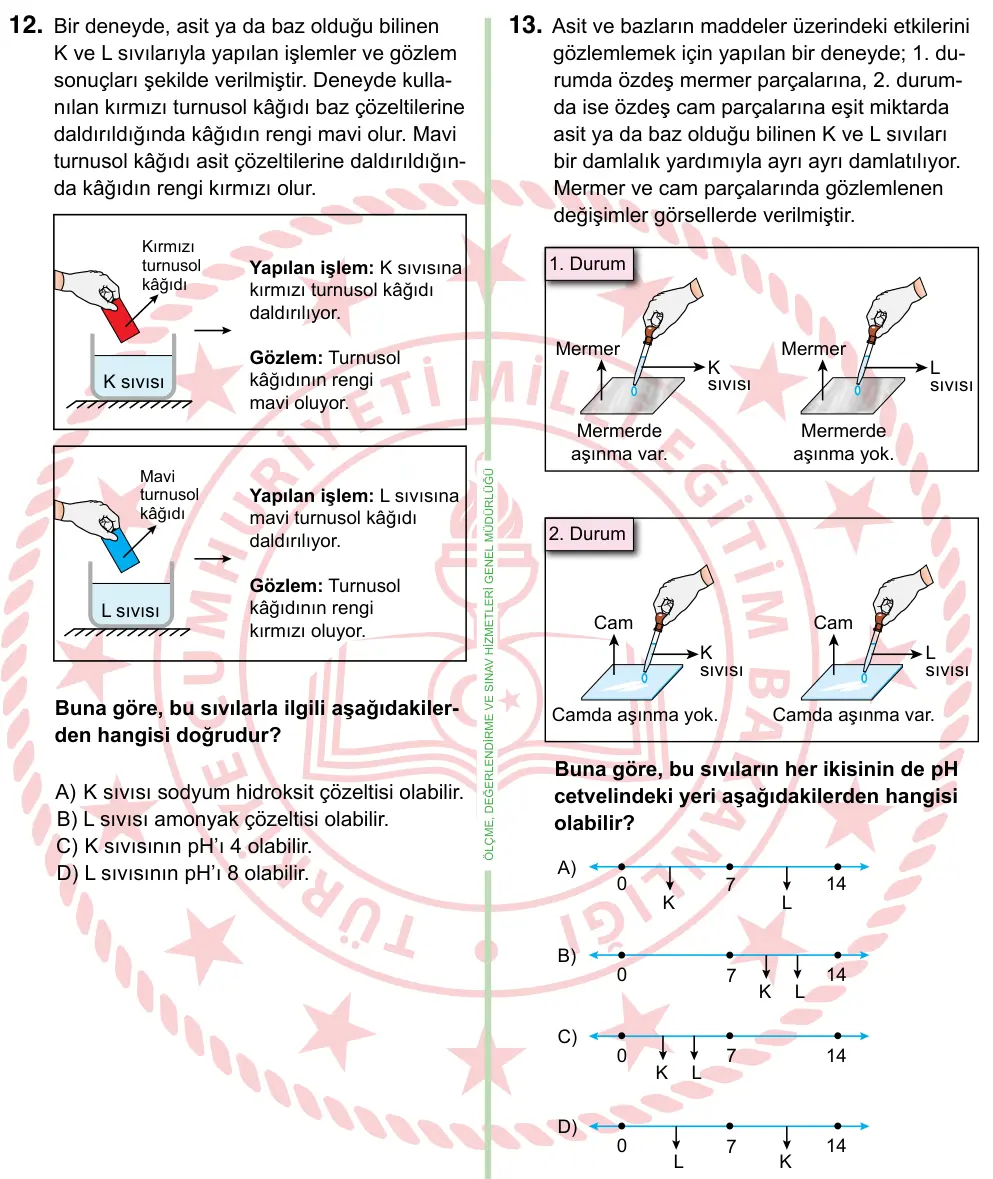 8. Sınıf ve Hazırlık Fen Bilimleri 2024 İOKBS Bursluluk Sınavı 13. Soru görseli