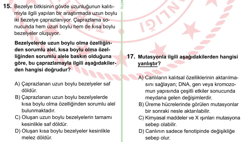 8. Sınıf ve Hazırlık Fen Bilimleri 2024 İOKBS Bursluluk Sınavı 15. Soru görseli