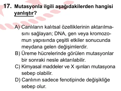 8. Sınıf ve Hazırlık Fen Bilimleri 2024 İOKBS Bursluluk Sınavı 17. Soru görseli