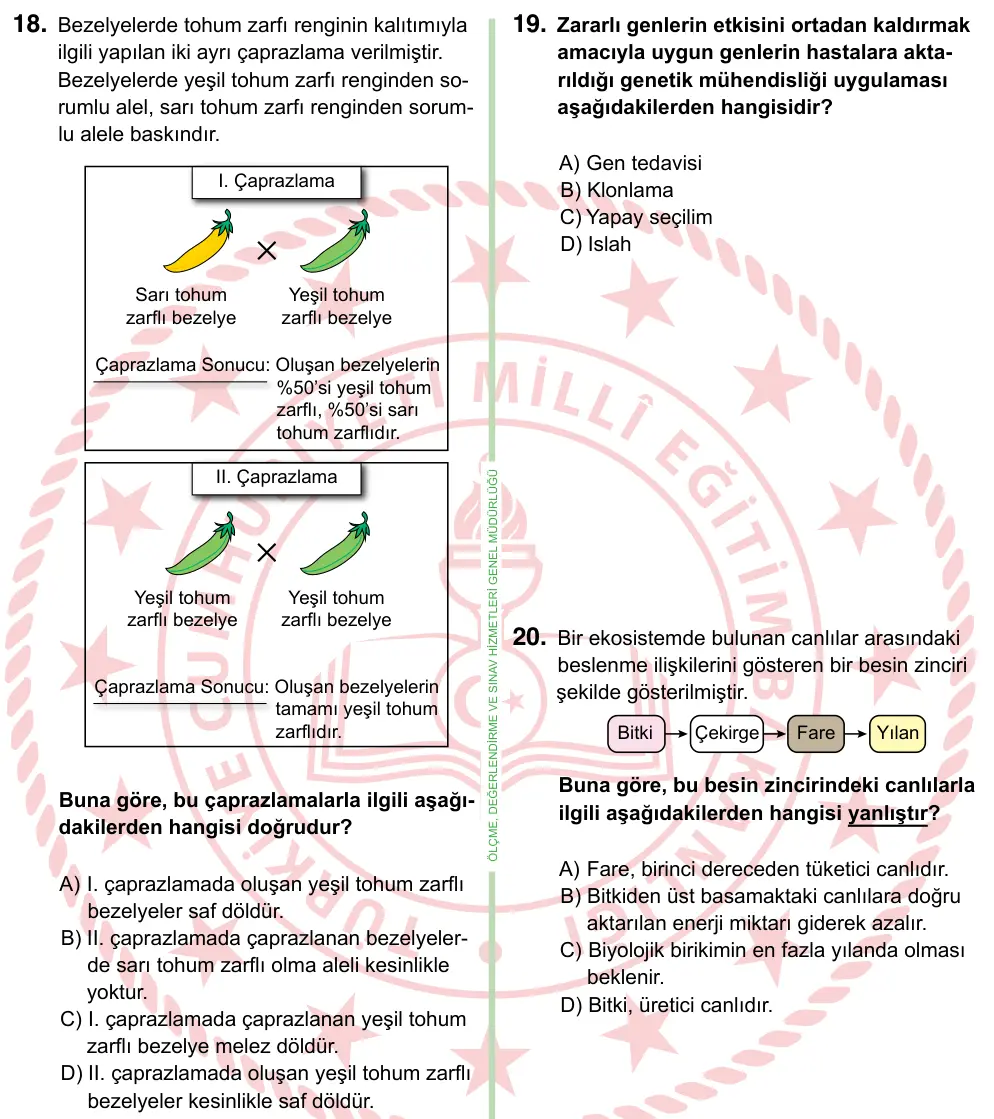 8. Sınıf ve Hazırlık Fen Bilimleri 2024 İOKBS Bursluluk Sınavı 18. Soru görseli