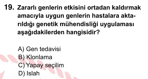 8. Sınıf ve Hazırlık Fen Bilimleri 2024 İOKBS Bursluluk Sınavı 19. Soru görseli