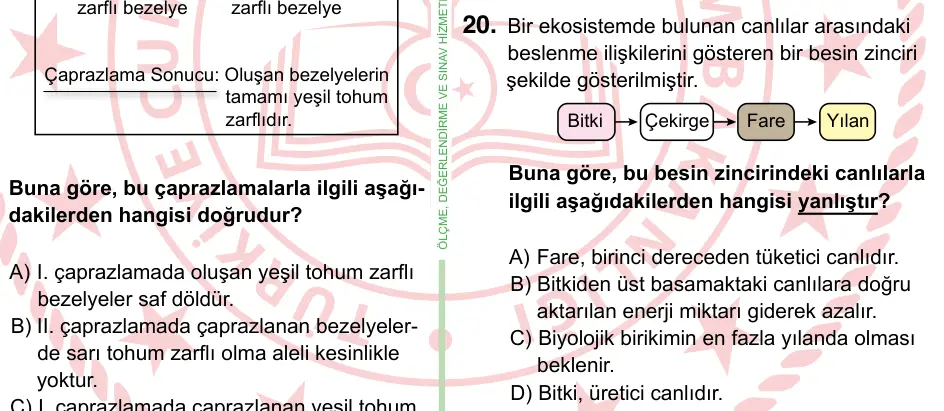 8. Sınıf ve Hazırlık Fen Bilimleri 2024 İOKBS Bursluluk Sınavı 20. Soru görseli