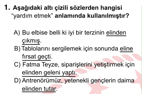 8. Sınıf ve Hazırlık Türkçe 2024 İOKBS Bursluluk Sınavı 1. Soru görseli