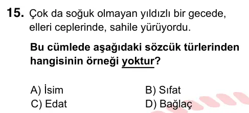 9, 10, 11. Sınıf Türk Dili ve Edebiyatı 2024 İOKBS Bursluluk Sınavı 15. Soru görseli