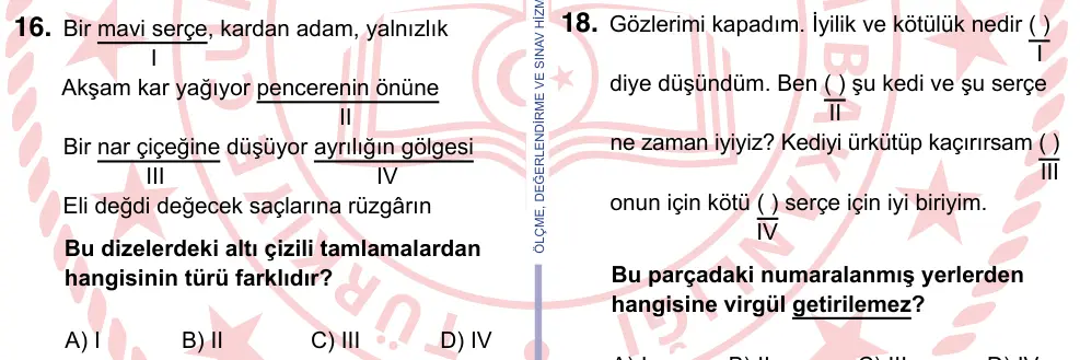 9, 10, 11. Sınıf Türk Dili ve Edebiyatı 2024 İOKBS Bursluluk Sınavı 16. Soru görseli